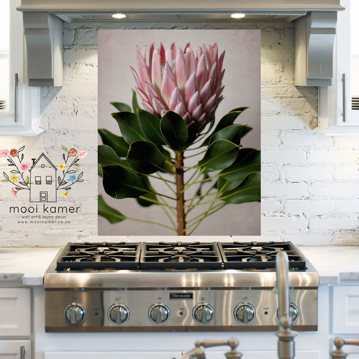 Protea Splash-back | Perspex Only | [Hardware for Mounting not Include ...