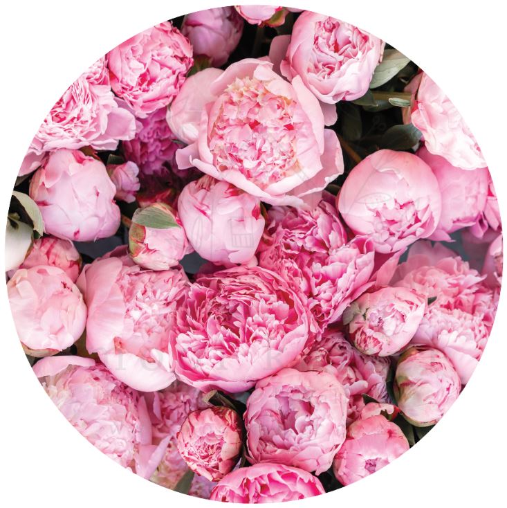 PINK PEONIES FLORAL | VINYL RUG – Mooi Kamer