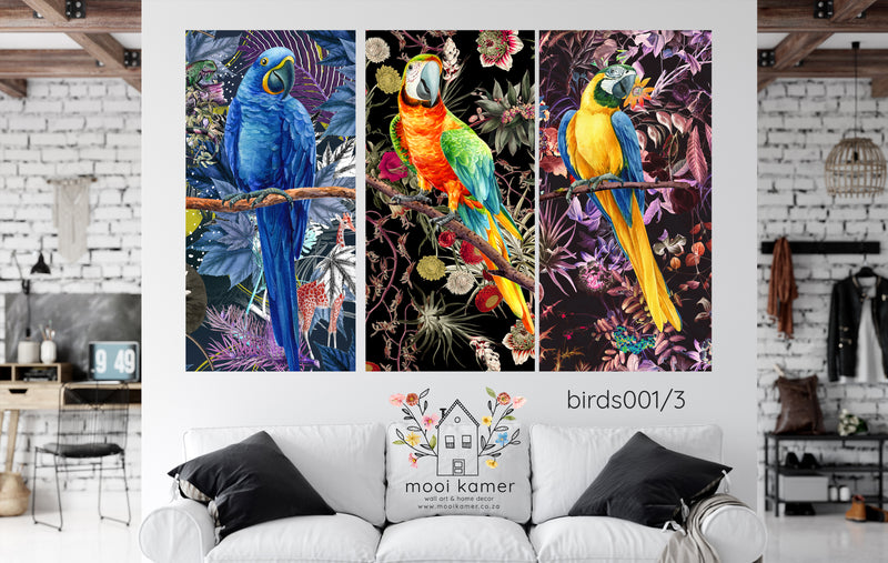 3 Set | Parrot