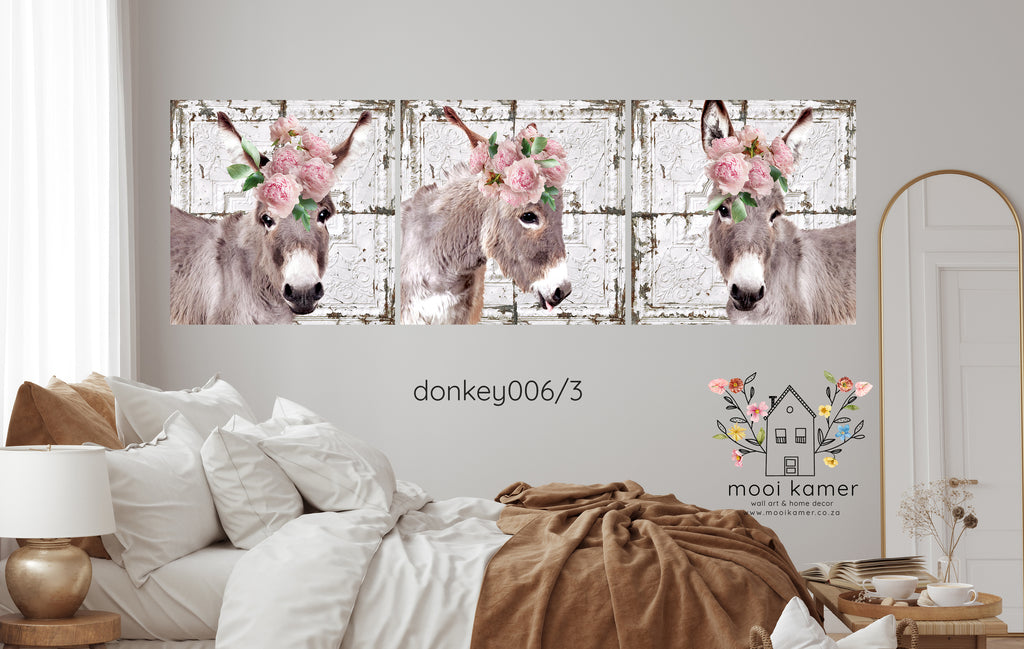 3 Set | Donkey