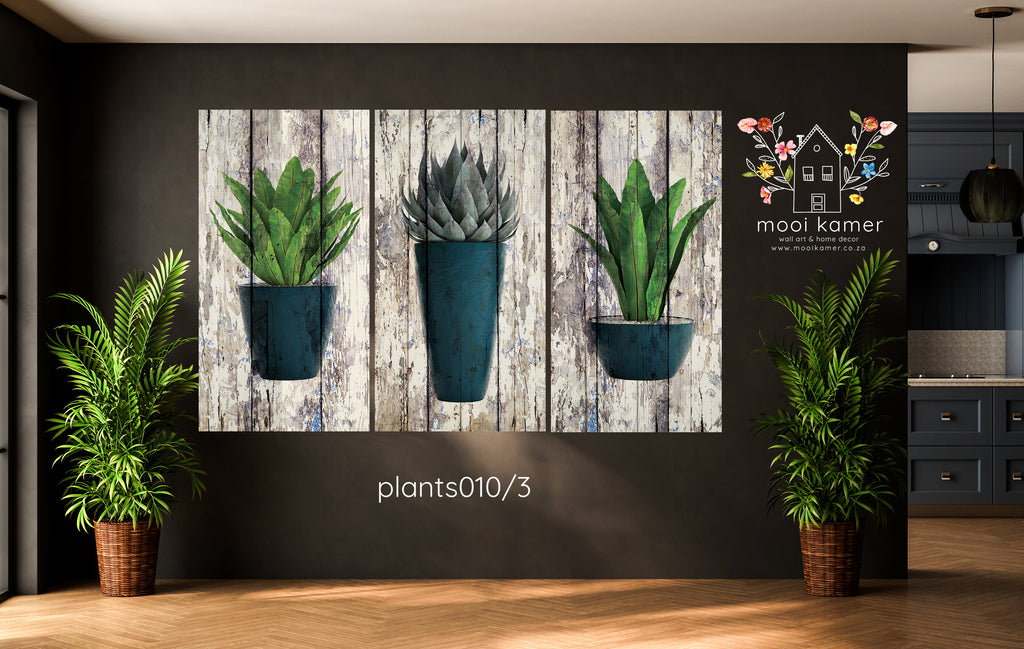 3 Set | plants in pots