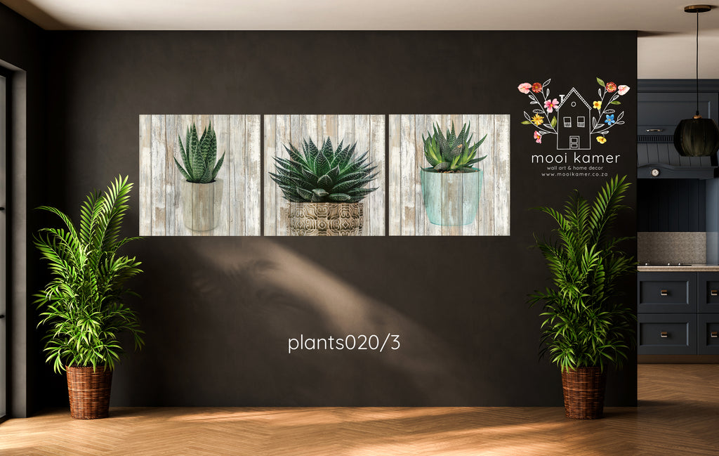 3 Set | Plant