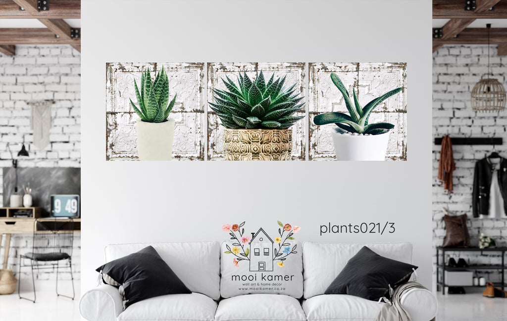 3 Set | Plant | Vintage Tile