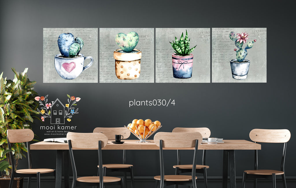 4 Set | Plant