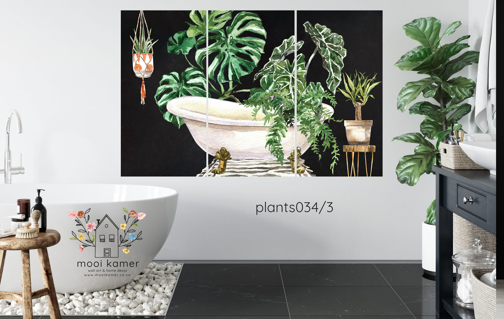 3 Set | Must love plants