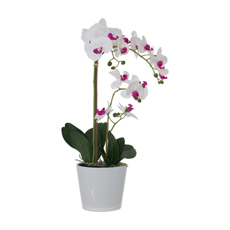 WHITE REAL TOUCH ORCHID 58CM